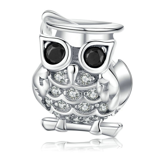 Wise Old Owl Charm